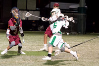 Paly Lacrosse